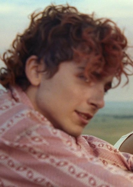 Timothée Chalamet photo
