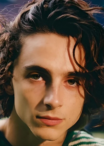 Timothée Chalamet photo