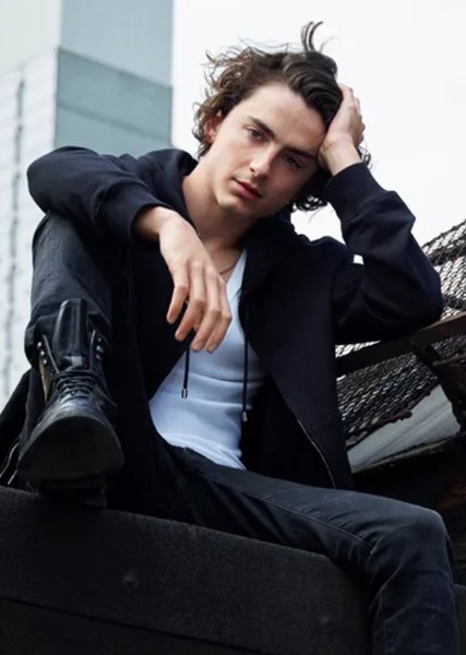 Timothée Chalamet photo