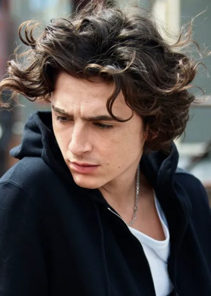 Timothée Chalamet photo