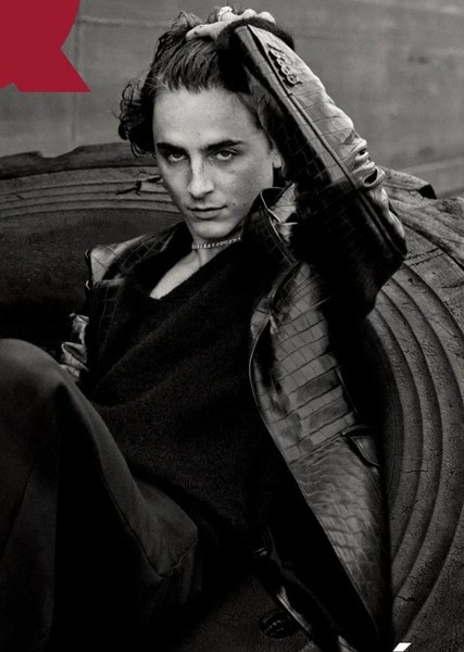 Timothée Chalamet photo