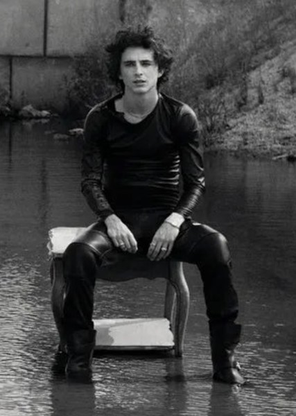Timothée Chalamet photo