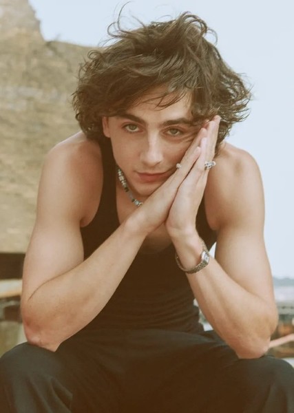 Timothée Chalamet photo