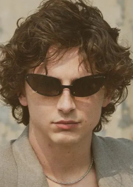 Timothée Chalamet photo