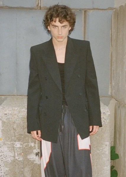 Timothée Chalamet photo