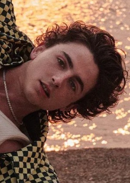 Timothée Chalamet photo