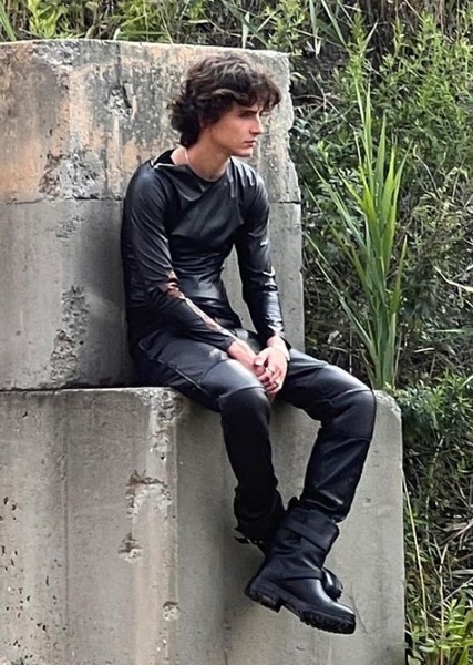 Timothée Chalamet photo
