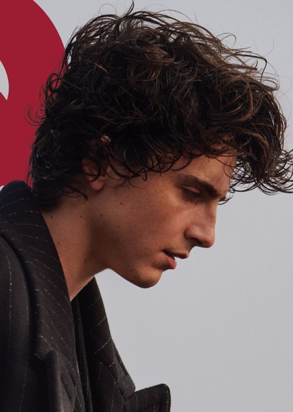 Timothée Chalamet photo