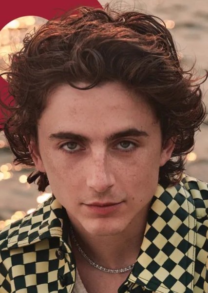 Timothée Chalamet photo