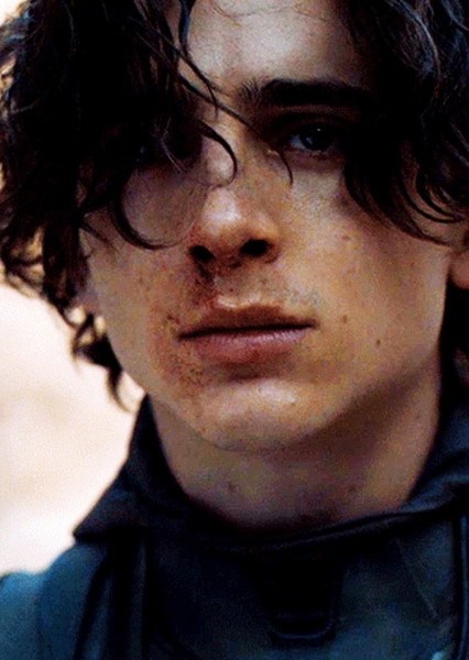 Timothée Chalamet photo