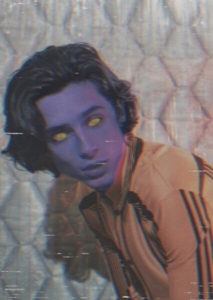 Timothée Chalamet
