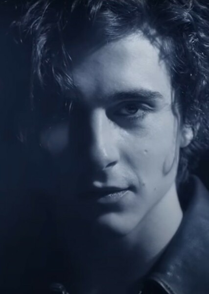 Timothée Chalamet photo