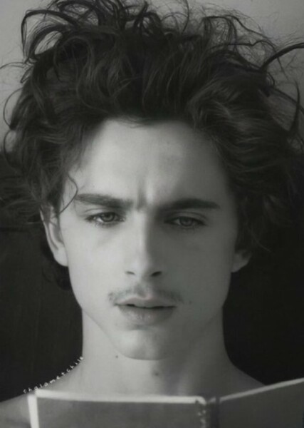 Timothée Chalamet photo