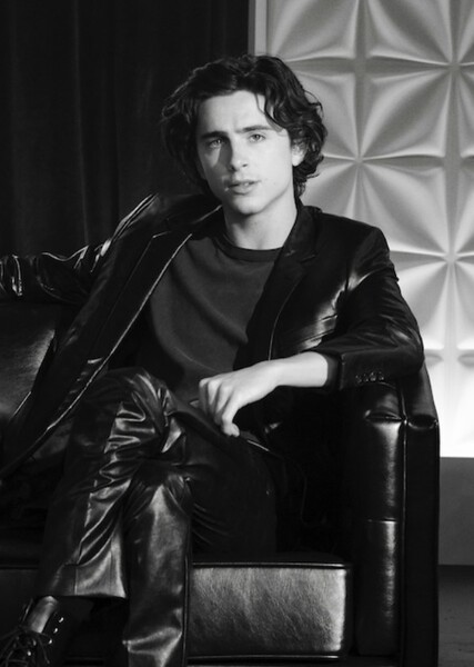 Timothée Chalamet photo