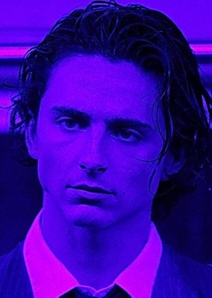 Timothée Chalamet photo