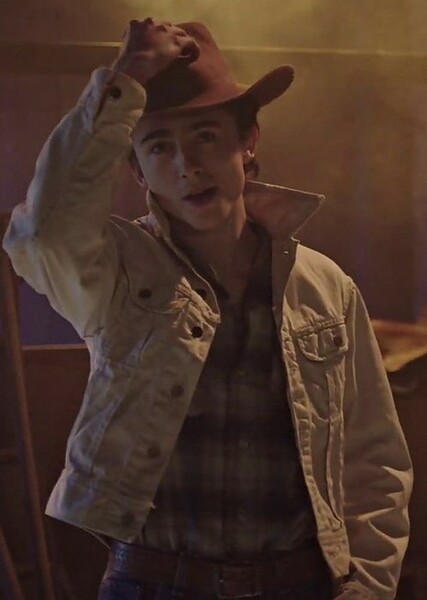 Timothée Chalamet photo