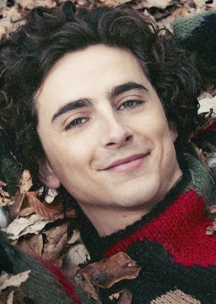 Timothée Chalamet photo