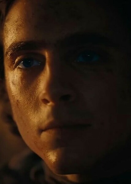 Timothée Chalamet photo