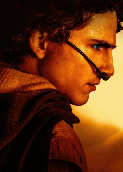 Timothée Chalamet photo