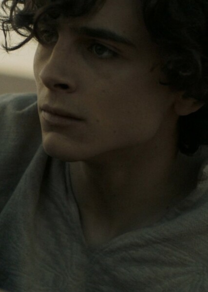 Timothée Chalamet photo