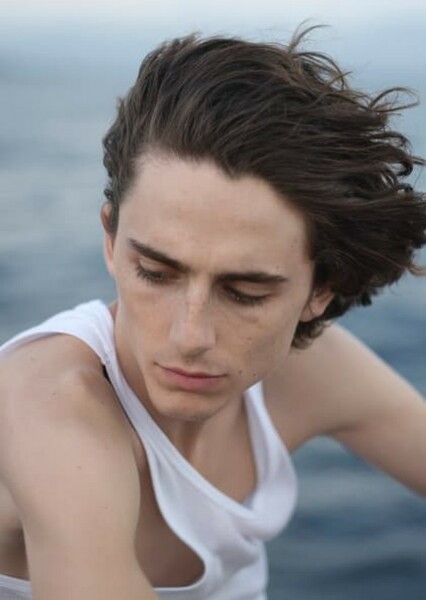 Fan Casting Timoth E Chalamet As Telemachus In The Odyssey 2026 On MyCast Actor Timothee Chalamet 992683 Large 