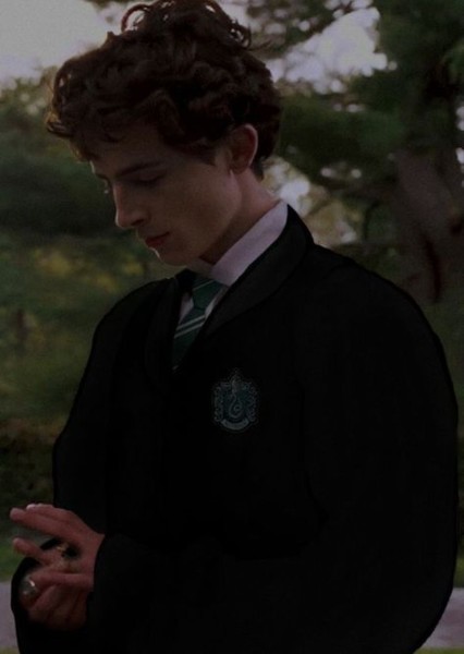 Timothy Chalamet photo