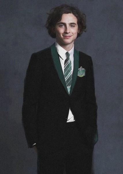 Timothy Chalamet photo