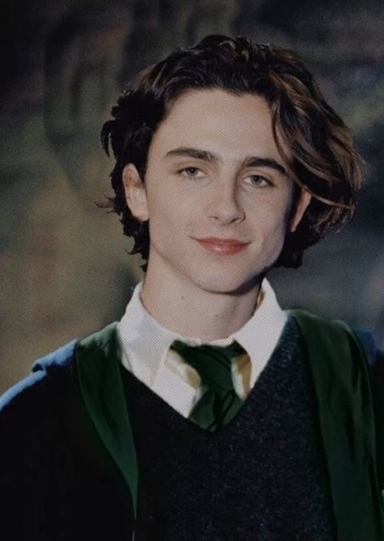 Timothy Chalamet photo