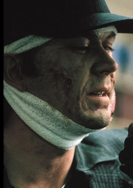 Timothy Hutton photo