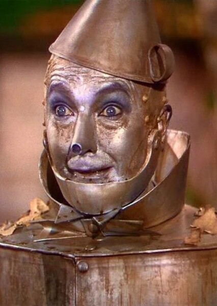 Tin Man