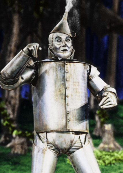 Tin Man (Oz) photo