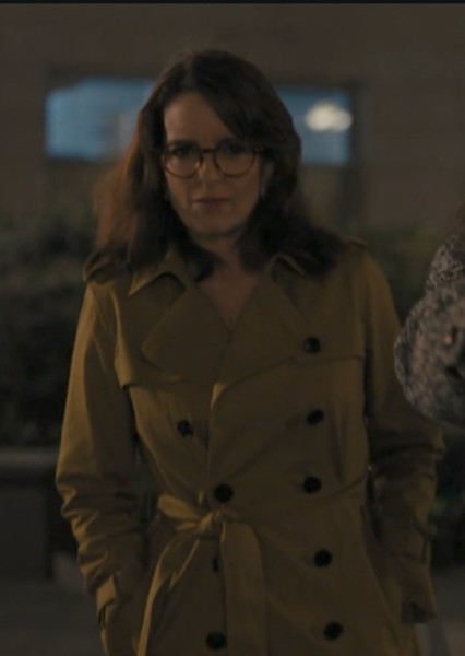 Tina Fey photo