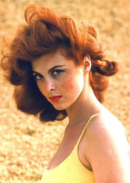 Tina Louise photo