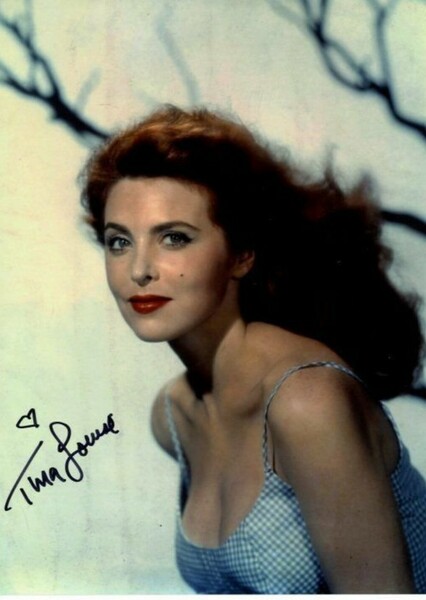 Tina Louise photo