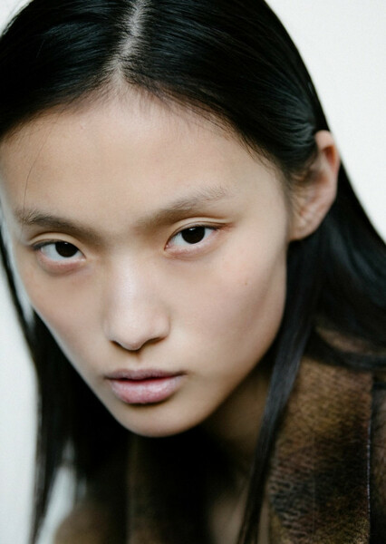 Tinglei Liu