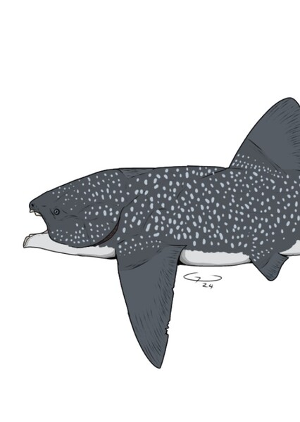 Titanichthys