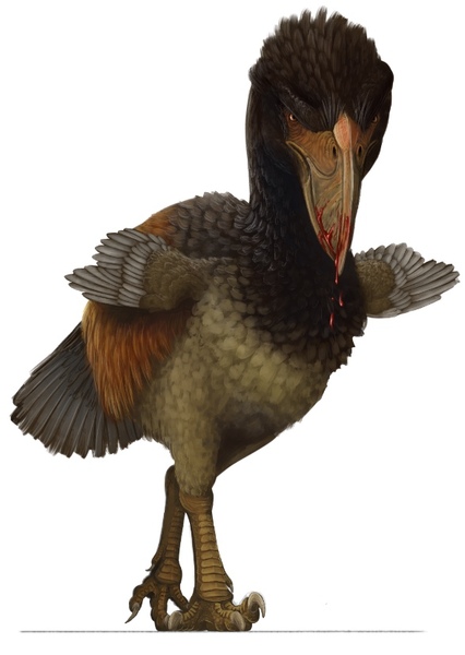 Titanis photo