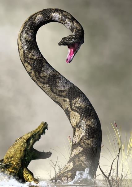 Titanoboa photo