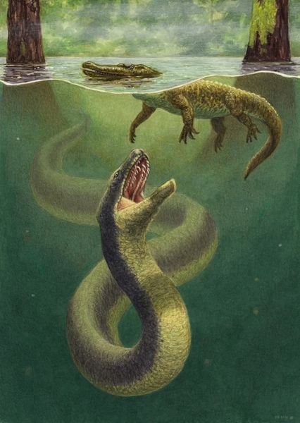Titanoboa photo