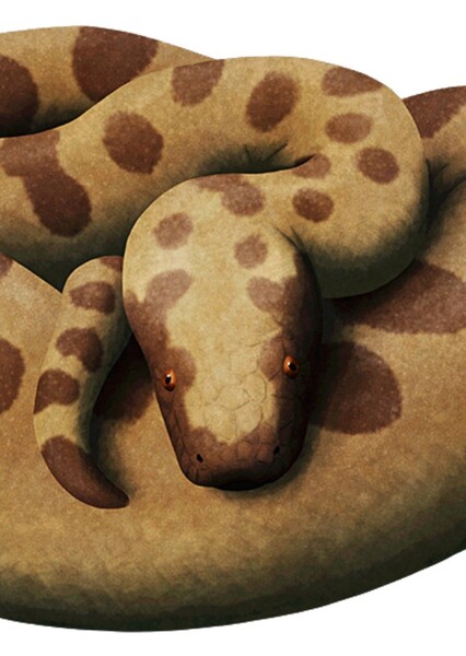 Titanoboa photo
