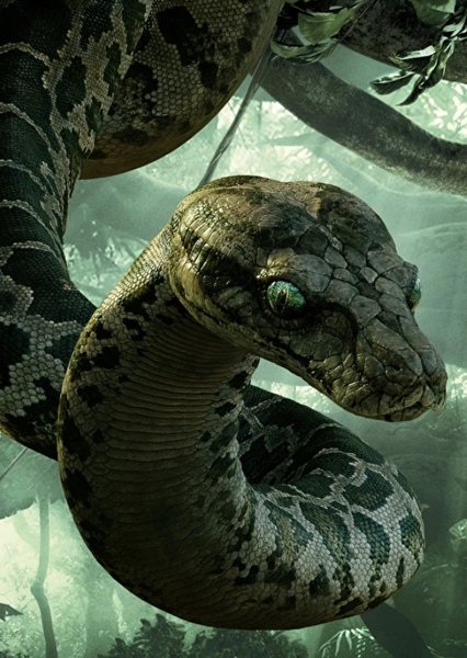 Titanoboa photo