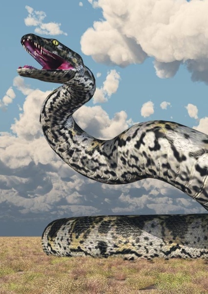 Titanoboa photo