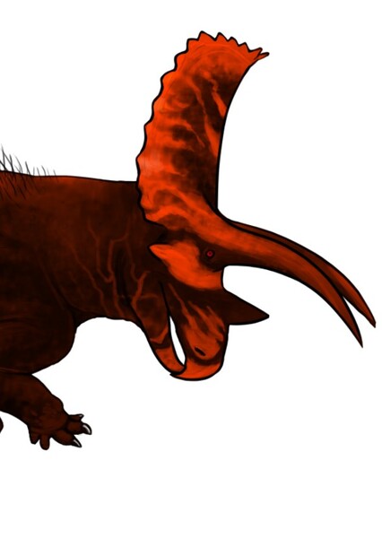 Titanoceratops