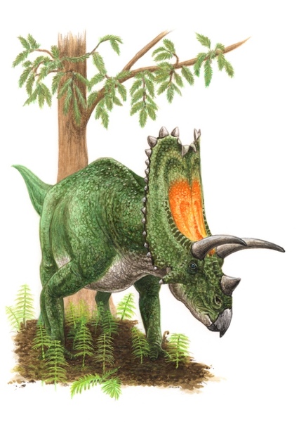 Titanoceratops photo