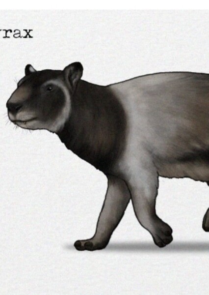 Titanohyrax