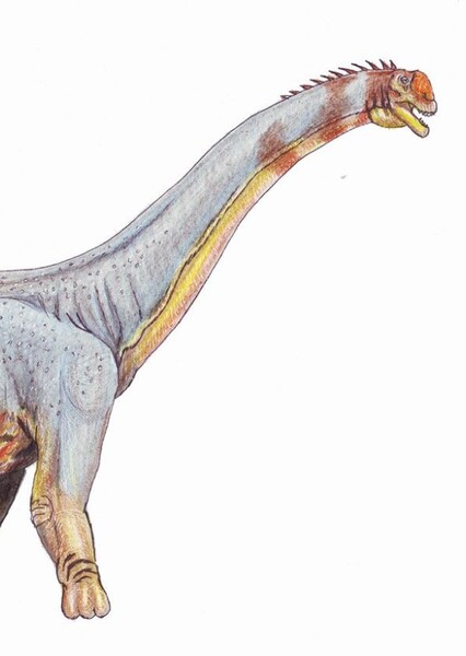 Titanosaurus