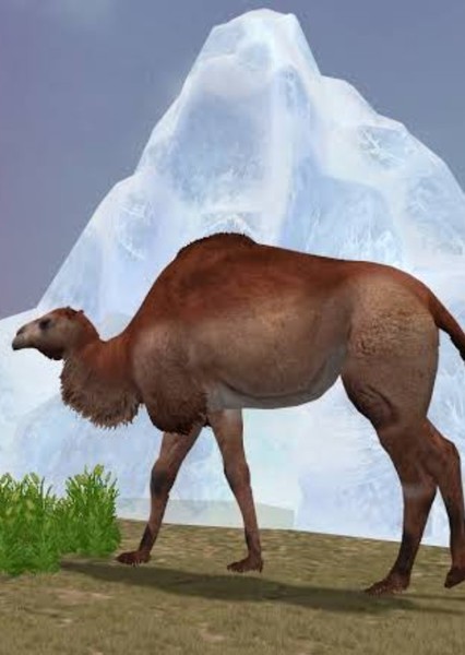 Titanotylopus