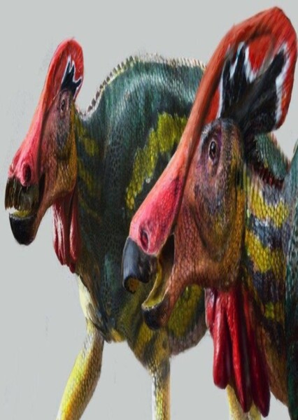 Tlatolophus