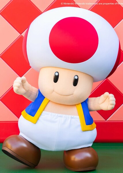 Toad (Nintendo Character)