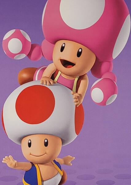 Toad and Toadette